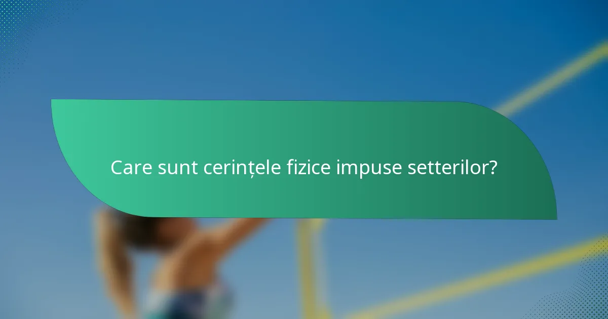 Care sunt cerințele fizice impuse setterilor?