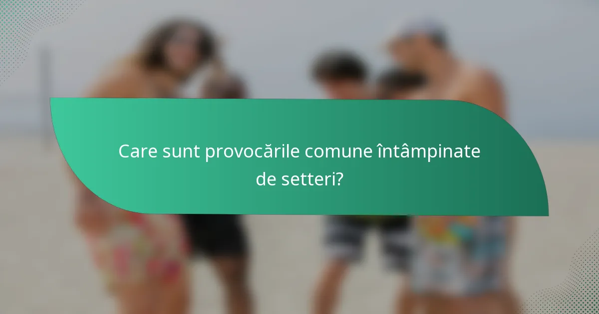 Care sunt provocările comune întâmpinate de setteri?