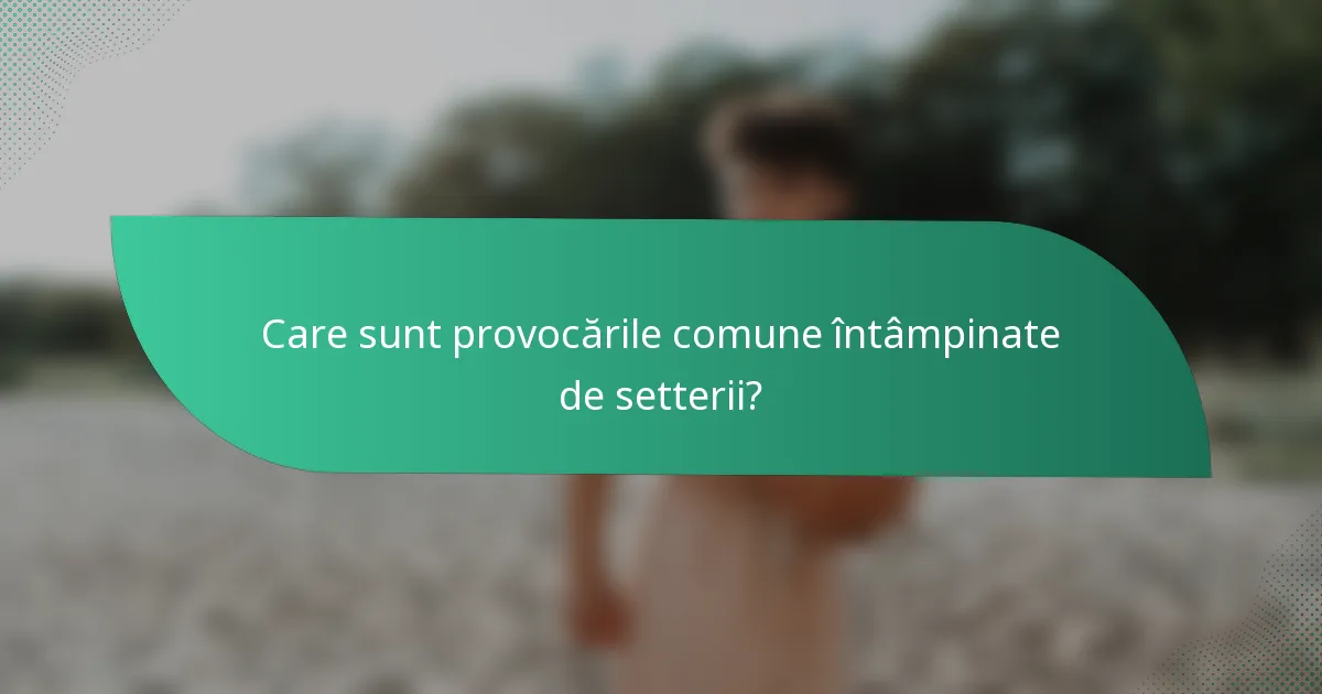 Care sunt provocările comune întâmpinate de setterii?