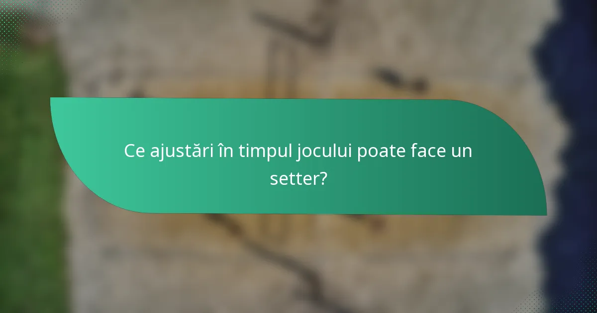 Ce ajustări în timpul jocului poate face un setter?