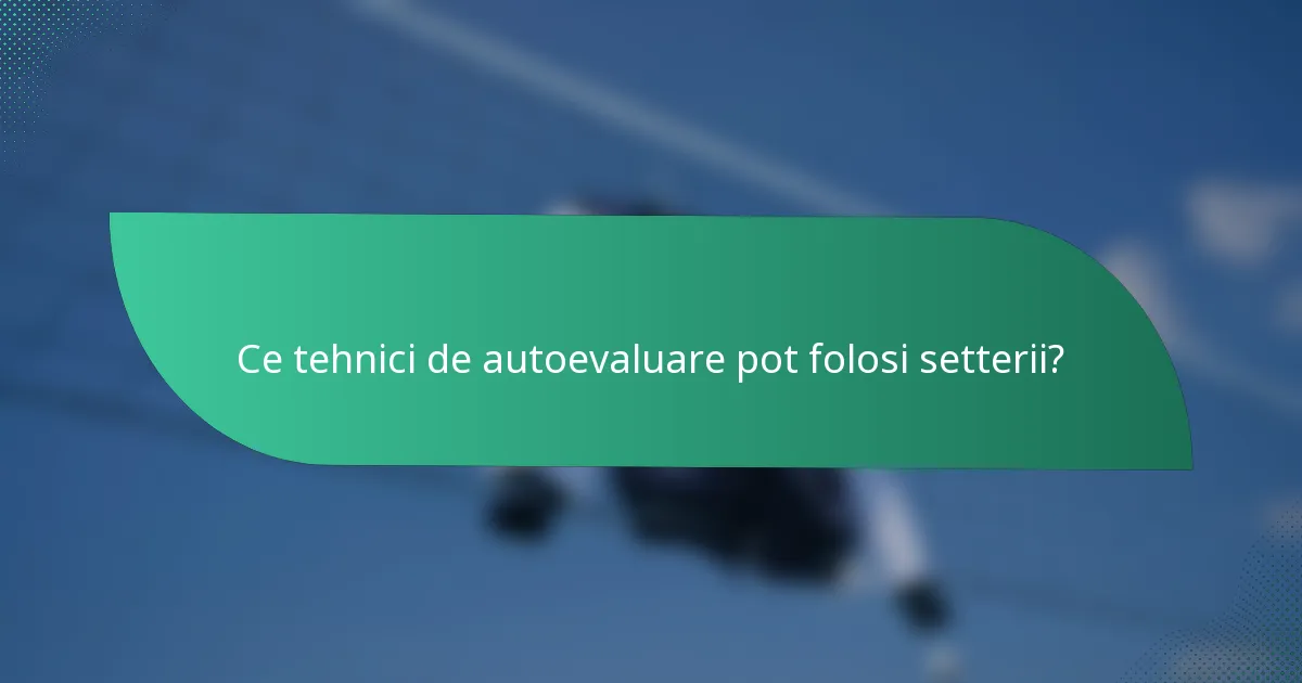 Ce tehnici de autoevaluare pot folosi setterii?
