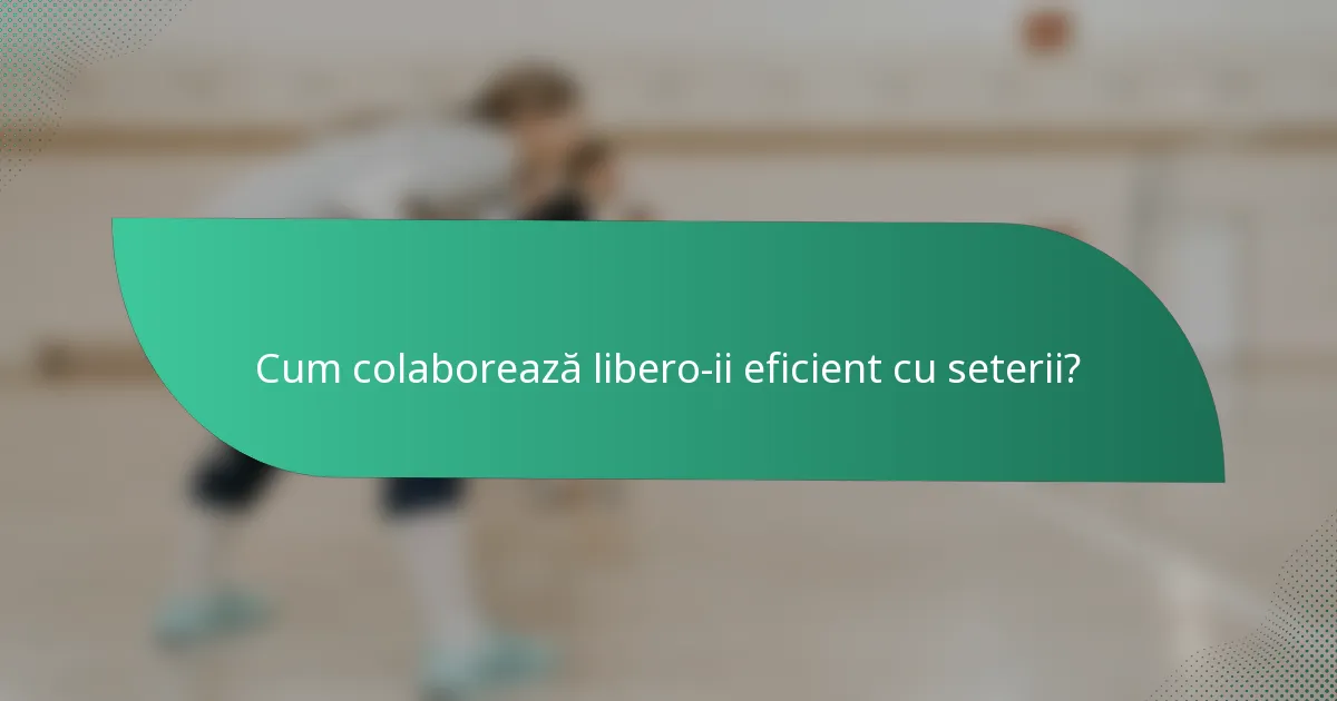 Cum colaborează libero-ii eficient cu seterii?