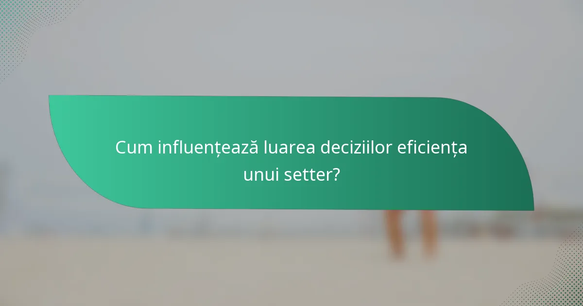 Cum influențează luarea deciziilor eficiența unui setter?