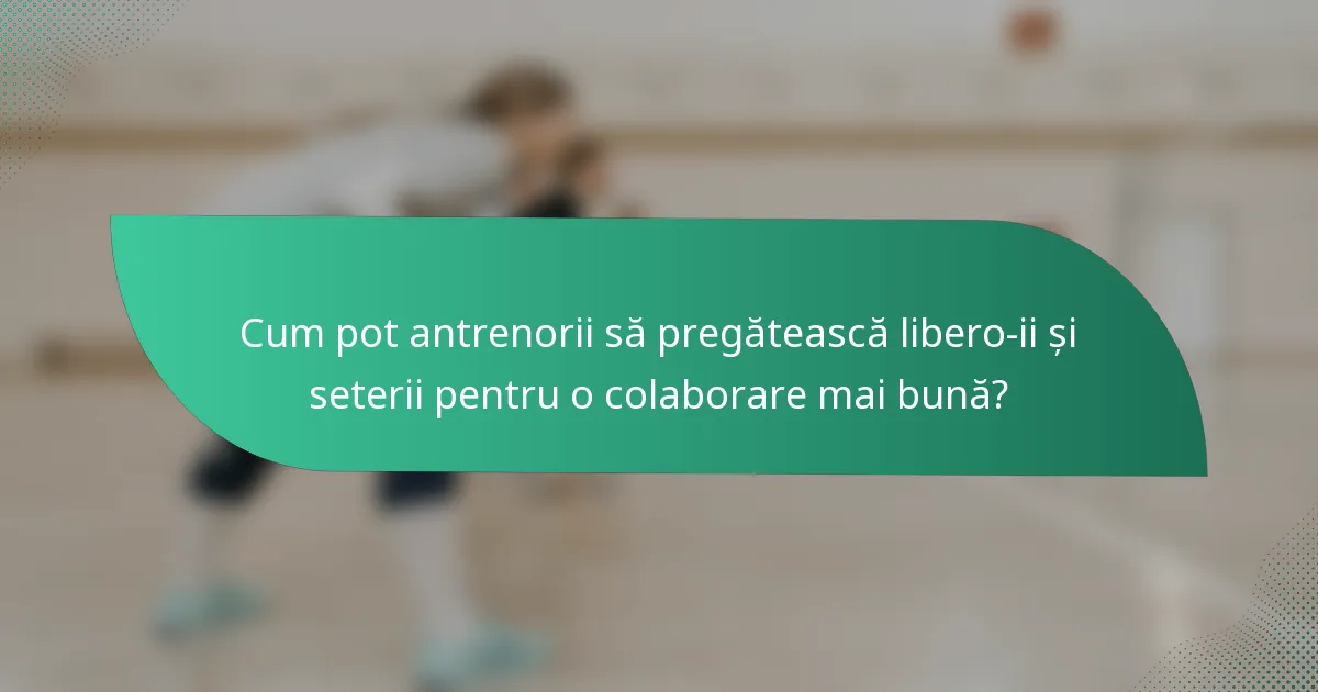 Cum pot antrenorii să pregătească libero-ii și seterii pentru o colaborare mai bună?
