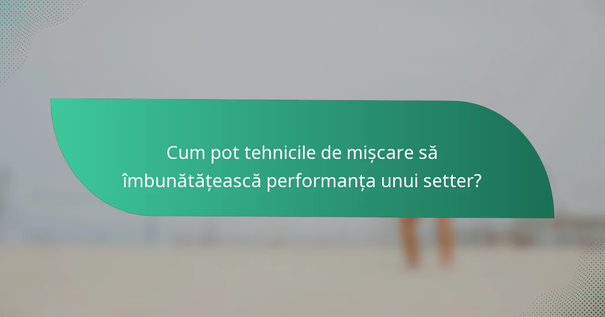 Cum pot tehnicile de mișcare să îmbunătățească performanța unui setter?
